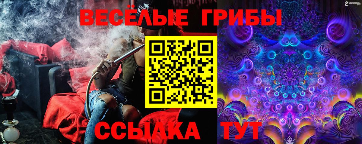 Галлюциногенные грибы Magic Shrooms Сургут
