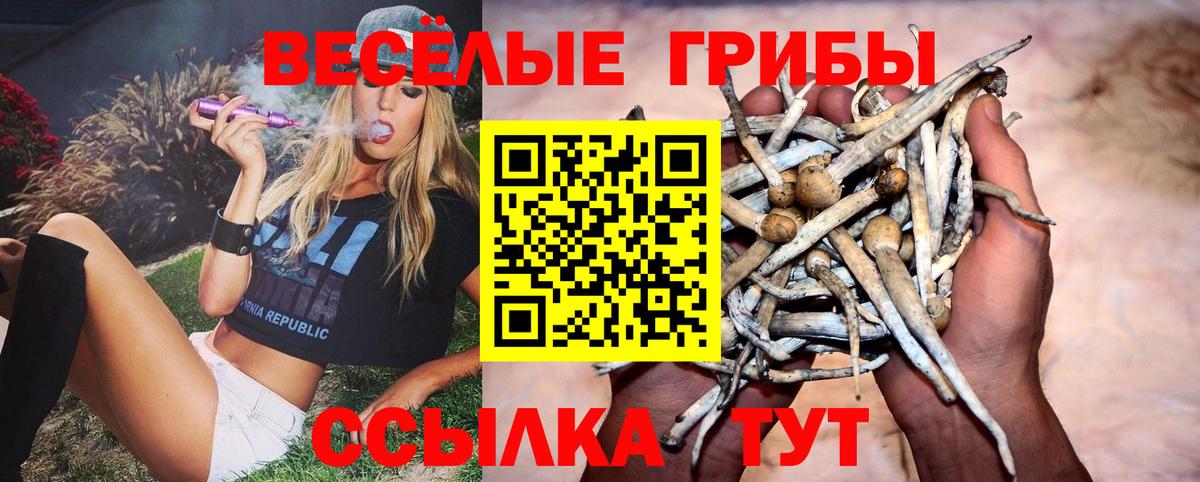 Галлюциногенные грибы Psilocybine cubensis  Псилоцибиновые грибы мухоморы  Сургут  Вход с VPN 